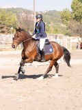 DSC03479 DSC03479