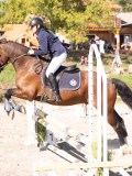 DSC03480 DSC03480