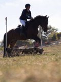 DSC04788 DSC04788