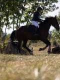 DSC04789 DSC04789