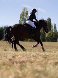 DSC04790 DSC04790