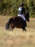 DSC04791 DSC04791