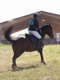 DSC04805 DSC04805