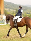 DSC05768 DSC05768