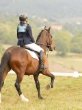 DSC05775 DSC05775