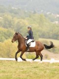 DSC05776 DSC05776