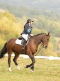 DSC05778 DSC05778