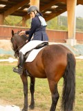 DSC05786 DSC05786