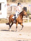 DSC03189 DSC03189