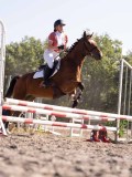 DSC03195 DSC03195