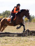 DSC04589 DSC04589