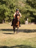DSC04593 DSC04593