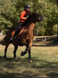 DSC04594 DSC04594