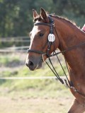 DSC_5360 DSC_5360