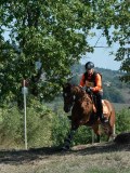 DSC_5845 DSC_5845