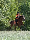 DSC_5849 DSC_5849