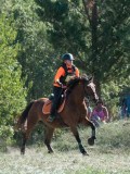 DSC_5850 DSC_5850
