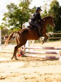 DSC08467 DSC08467
