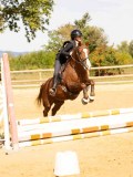 DSC08468 DSC08468