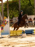 DSC08475 DSC08475