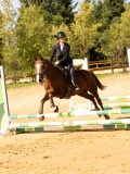 DSC08479 DSC08479