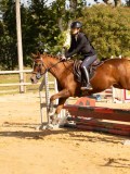 DSC08480 DSC08480