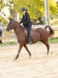 DSC07358 DSC07358