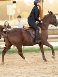 DSC07365 DSC07365
