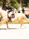 DSC08979 DSC08979