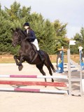 DSC07698 DSC07698