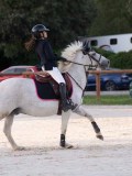 DSC05868 DSC05868