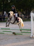 DSC05877 DSC05877