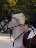 DSC05878 DSC05878