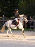 DSC05879 DSC05879