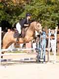 DSC08780 DSC08780