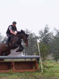IMG_0293 IMG_0293