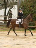 DSC00544 DSC00544