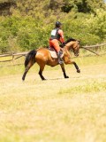 DSC03420 DSC03420