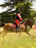 DSC03426 DSC03426