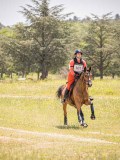 IMG_9301 IMG_9301