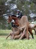 IMG_2947 IMG_2947