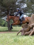 IMG_2948 IMG_2948