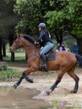 IMG_2949 IMG_2949