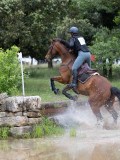 IMG_2959 IMG_2959