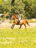 DSC01053 DSC01053
