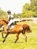DSC01059 DSC01059