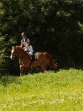 DSC01715 DSC01715