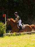 DSC01717 DSC01717
