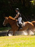 DSC01719 DSC01719