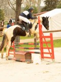 DSC06743 DSC06743